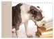Thumbnail-12