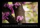 Thumbnail-9