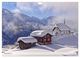 Thumbnail-14