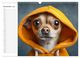 Thumbnail-13