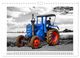 Thumbnail-11