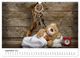 Thumbnail-11