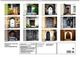 Thumbnail-13
