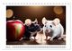 Thumbnail-8
