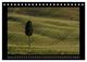 Thumbnail-11