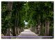 Thumbnail-10