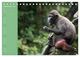 Thumbnail-11