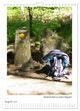 Thumbnail-11