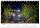 Thumbnail-12