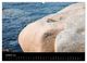 Thumbnail-11
