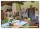 Thumbnail-14