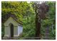 Thumbnail-8