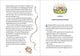 Thumbnail-12