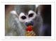 Thumbnail-9