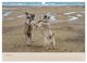 Thumbnail-12