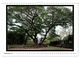 Thumbnail-14
