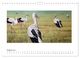 Thumbnail-10