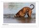 Thumbnail-11