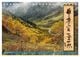 Thumbnail-14