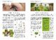Thumbnail-12