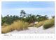 Thumbnail-11