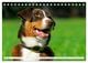 Thumbnail-12