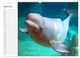 Thumbnail-10