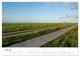 Thumbnail-10
