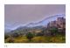 Thumbnail-12