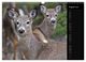 Thumbnail-13