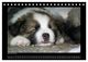 Thumbnail-14