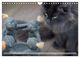 Thumbnail-14