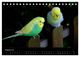 Thumbnail-13
