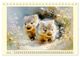 Thumbnail-8
