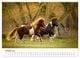 Thumbnail-11