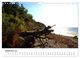 Thumbnail-14