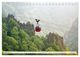 Thumbnail-14