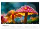 Thumbnail-14