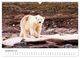 Thumbnail-14