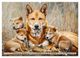 Thumbnail-13
