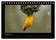 Thumbnail-14