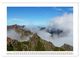 Thumbnail-14