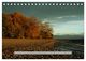 Thumbnail-11