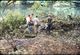 Thumbnail-11