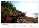Thumbnail-14