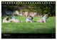Thumbnail-13