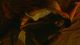 Thumbnail-10