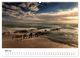 Thumbnail-9