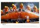 Thumbnail-10