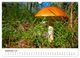 Thumbnail-14